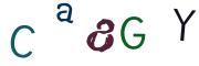 Obrázkové CAPTCHA