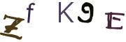 Obrázkové CAPTCHA