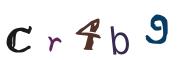 Obrázkové CAPTCHA